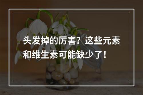 头发掉的厉害？这些元素和维生素可能缺少了！