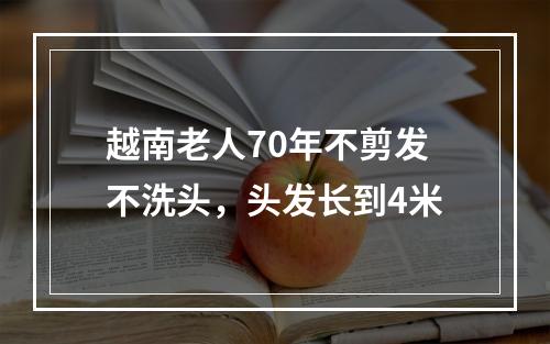 越南老人70年不剪发不洗头，头发长到4米