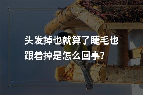 头发掉也就算了睫毛也跟着掉是怎么回事？