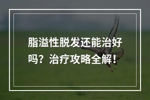 脂溢性脱发还能治好吗？治疗攻略全解！