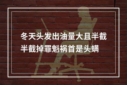 冬天头发出油量大且半截半截掉罪魁祸首是头螨