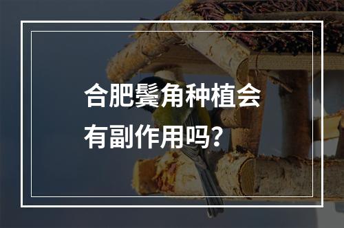 合肥鬓角种植会有副作用吗？