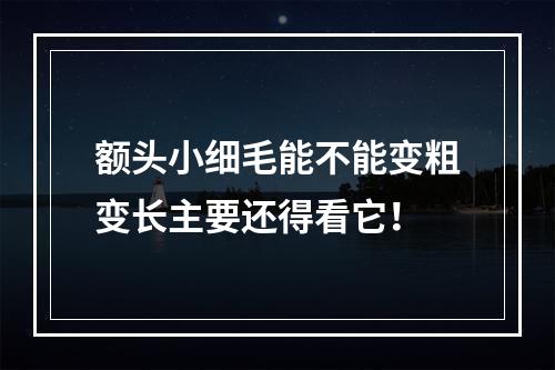 额头小细毛能不能变粗变长主要还得看它！