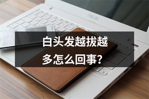 白头发越拔越多怎么回事？