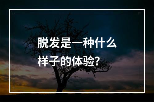 脱发是一种什么样子的体验？