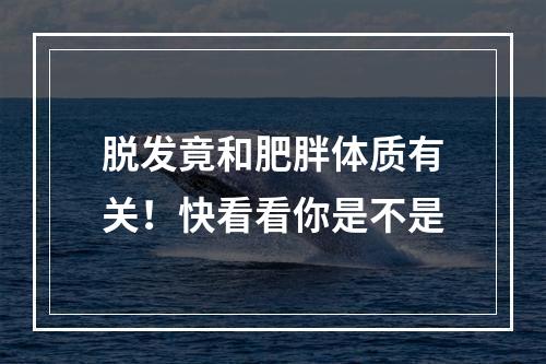 脱发竟和肥胖体质有关！快看看你是不是