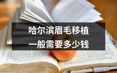 哈尔滨眉毛移植一般需要多少钱