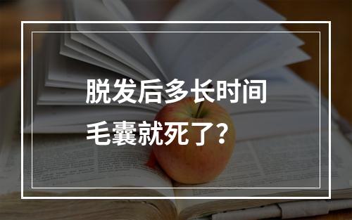 脱发后多长时间毛囊就死了？