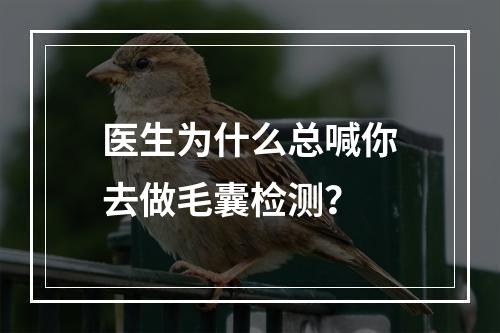 医生为什么总喊你去做毛囊检测？