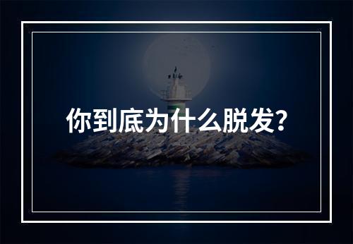 你到底为什么脱发？