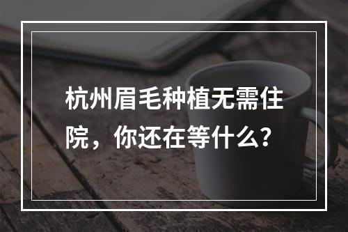 杭州眉毛种植无需住院，你还在等什么？