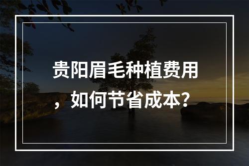 贵阳眉毛种植费用，如何节省成本？