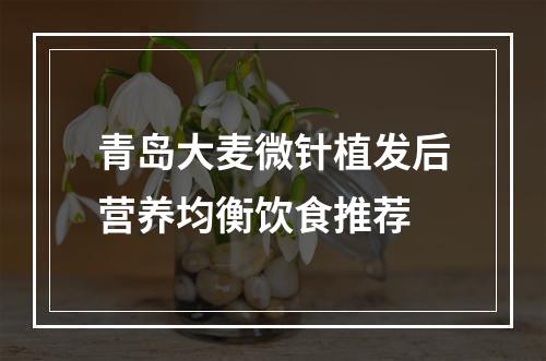 青岛大麦微针植发后营养均衡饮食推荐