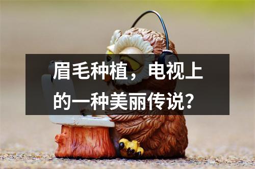 眉毛种植，电视上的一种美丽传说？