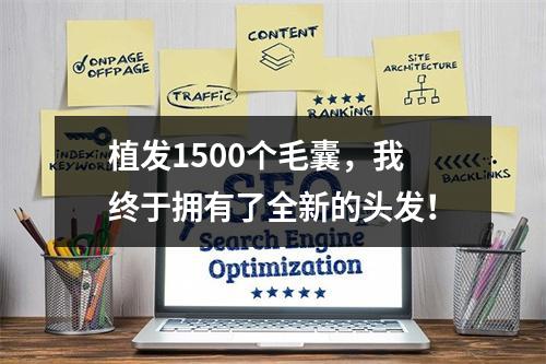 植发1500个毛囊，我终于拥有了全新的头发！