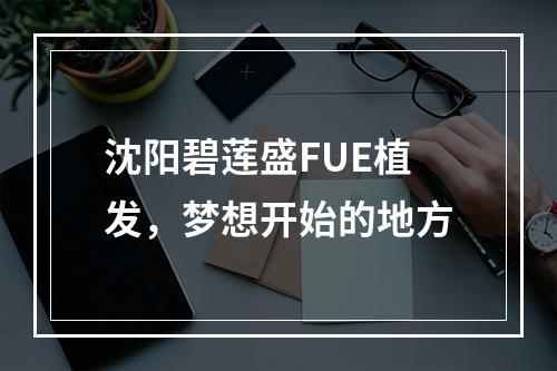 沈阳碧莲盛FUE植发，梦想开始的地方