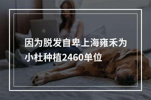 因为脱发自卑上海雍禾为小杜种植2460单位