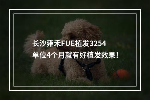 长沙雍禾FUE植发3254单位4个月就有好植发效果！