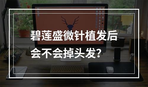 碧莲盛微针植发后会不会掉头发？