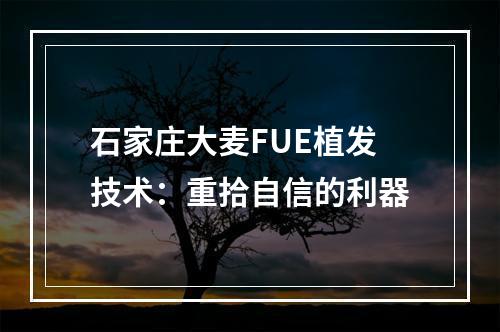 石家庄大麦FUE植发技术：重拾自信的利器