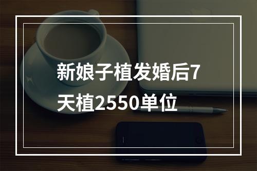 新娘子植发婚后7天植2550单位