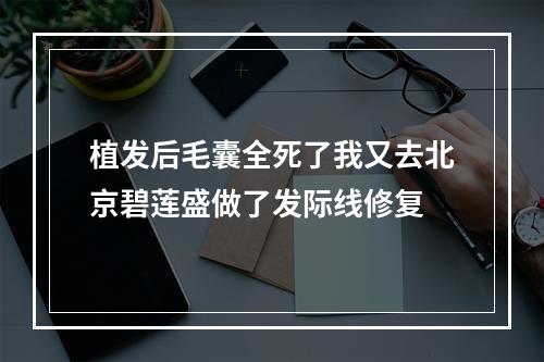 植发后毛囊全死了我又去北京碧莲盛做了发际线修复