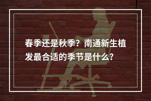 春季还是秋季？南通新生植发最合适的季节是什么？