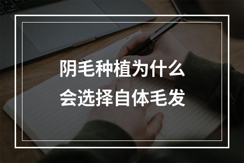 阴毛种植为什么会选择自体毛发