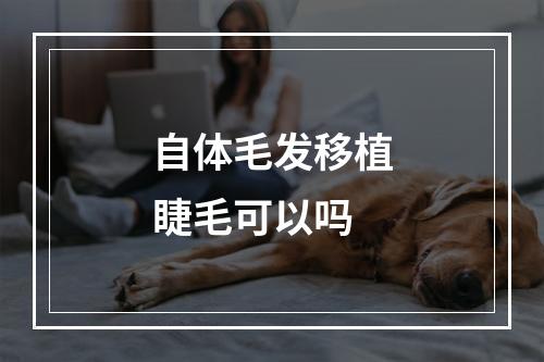 自体毛发移植睫毛可以吗