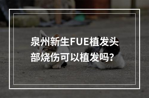 泉州新生FUE植发头部烧伤可以植发吗？