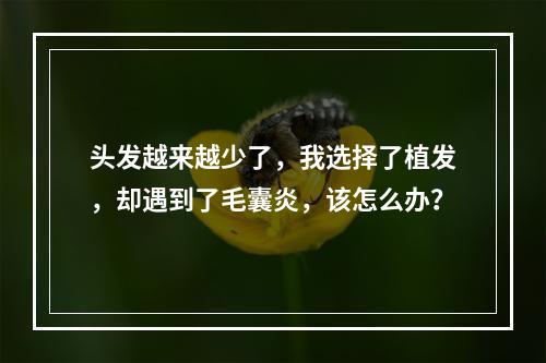 头发越来越少了，我选择了植发，却遇到了毛囊炎，该怎么办？