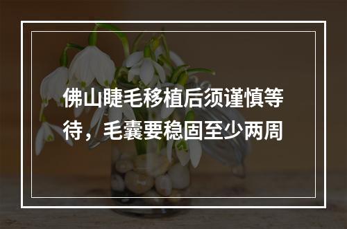 佛山睫毛移植后须谨慎等待，毛囊要稳固至少两周