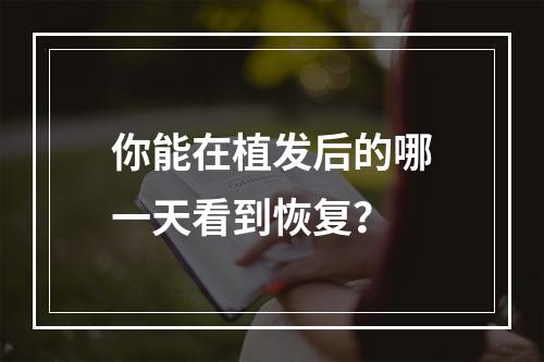 你能在植发后的哪一天看到恢复？