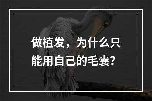 做植发，为什么只能用自己的毛囊？