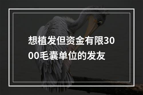 想植发但资金有限3000毛囊单位的发友