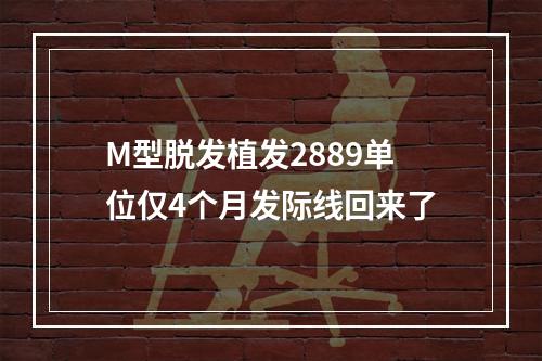 M型脱发植发2889单位仅4个月发际线回来了