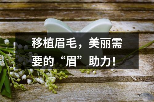 移植眉毛，美丽需要的“眉”助力！