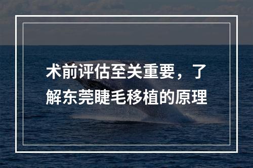 术前评估至关重要，了解东莞睫毛移植的原理