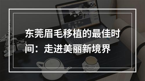 东莞眉毛移植的最佳时间：走进美丽新境界