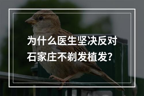 为什么医生坚决反对石家庄不剃发植发？