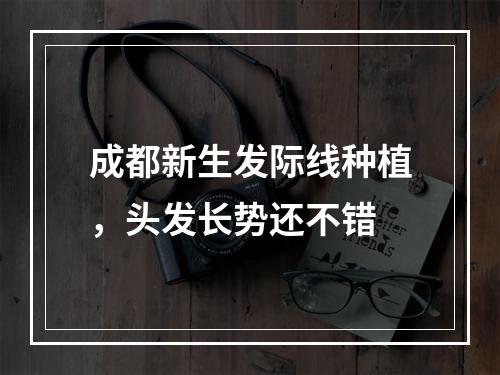 成都新生发际线种植，头发长势还不错