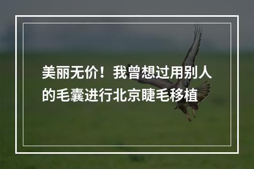 美丽无价！我曾想过用别人的毛囊进行北京睫毛移植