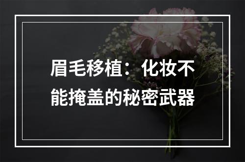 眉毛移植：化妆不能掩盖的秘密武器