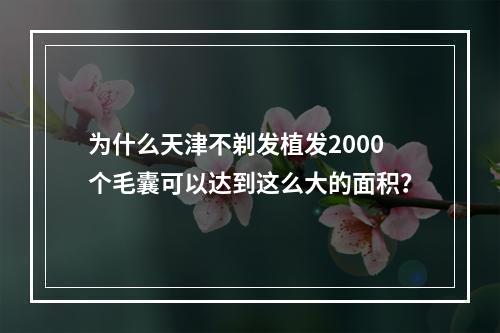 为什么天津不剃发植发2000个毛囊可以达到这么大的面积？