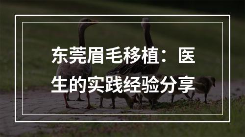 东莞眉毛移植：医生的实践经验分享