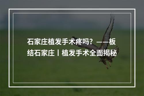 石家庄植发手术疼吗？——板结石家庄丨植发手术全面揭秘