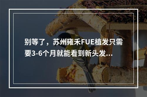 别等了，苏州雍禾FUE植发只需要3-6个月就能看到新头发！