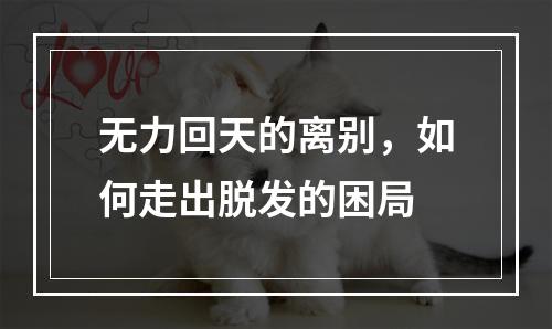 无力回天的离别，如何走出脱发的困局