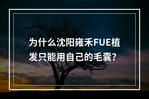 为什么沈阳雍禾FUE植发只能用自己的毛囊？