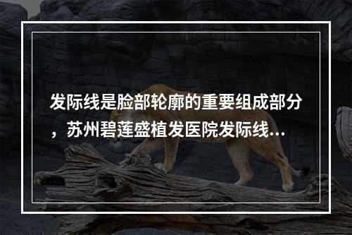 发际线是脸部轮廓的重要组成部分，苏州碧莲盛植发医院发际线调整效果好不好？